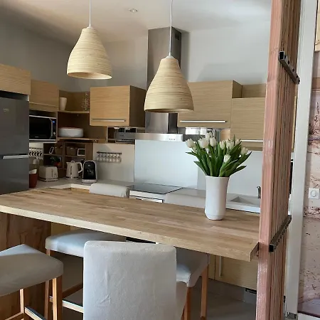 Central Et Confortable Appartement Arcachon